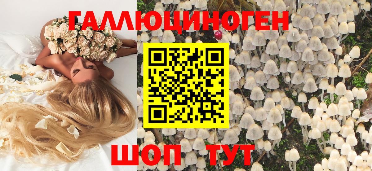 Галлюциногенные грибы мухоморы  как найти закладки  Пенза  Псилоцибиновые грибы Psilocybe  Вход с VPN 